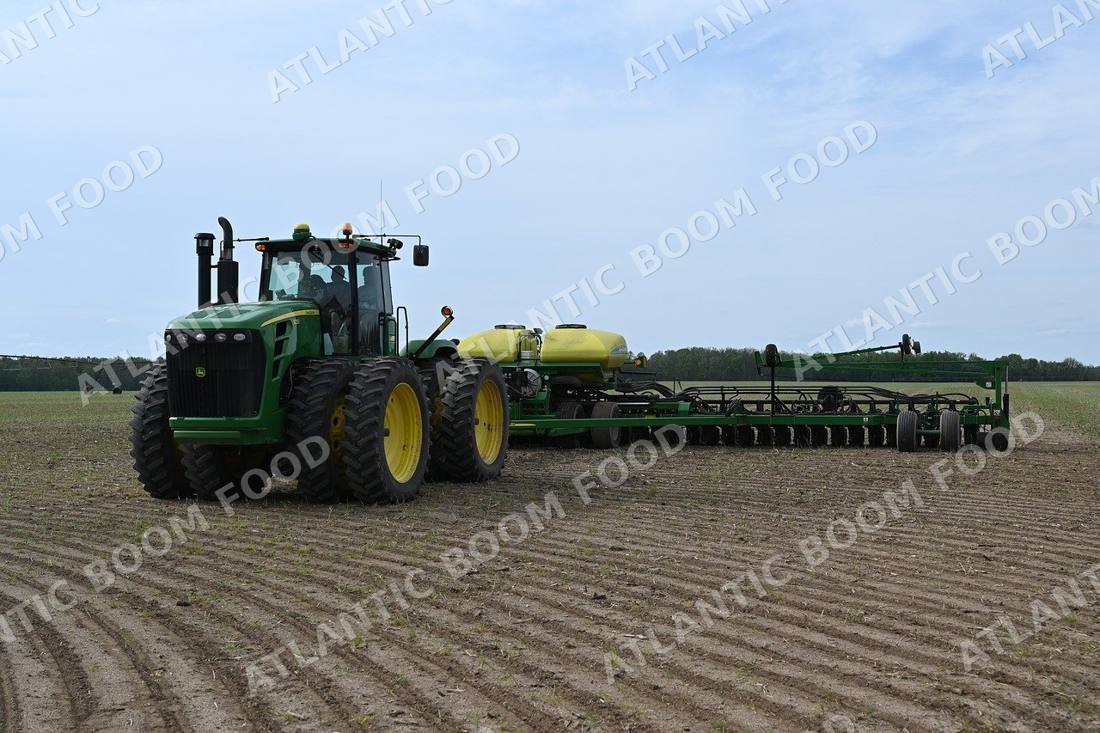 Grains - Atlantic Boom Food export