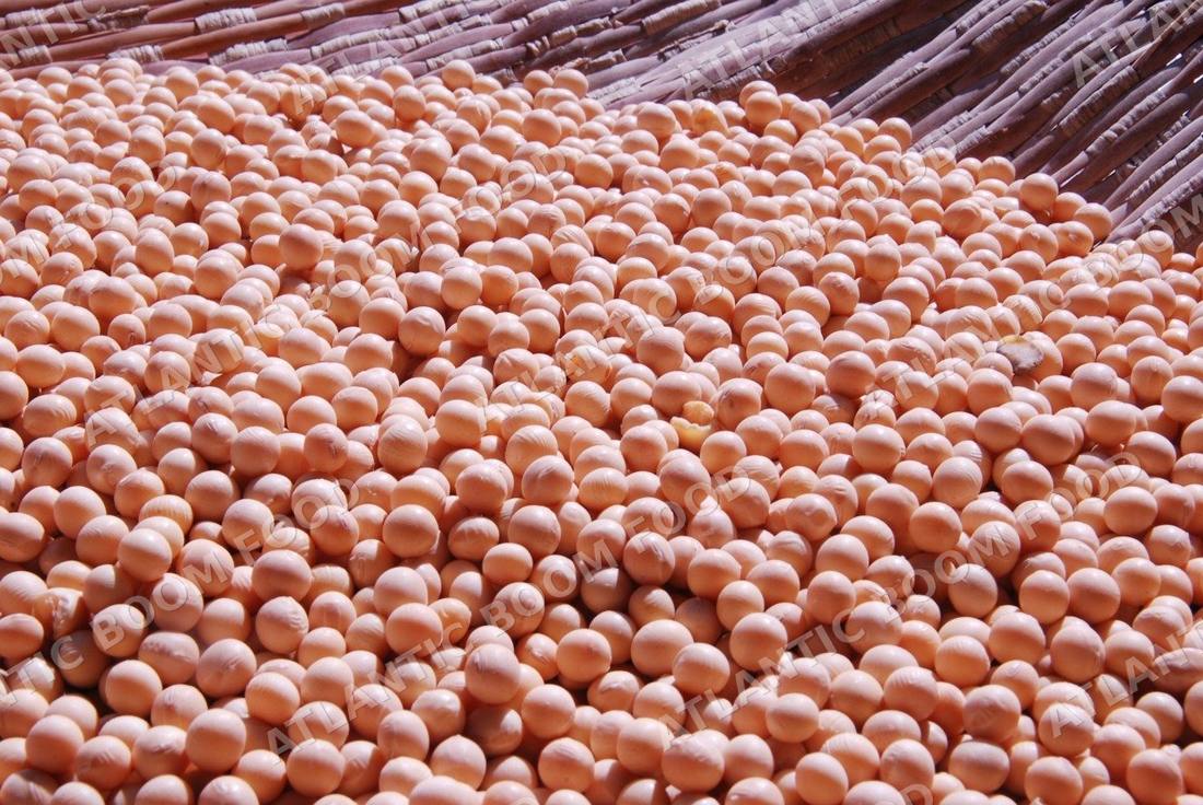 Grains - Atlantic Boom Food export
