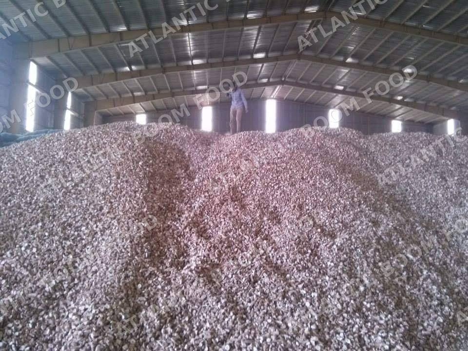 Grains - Atlantic Boom Food export
