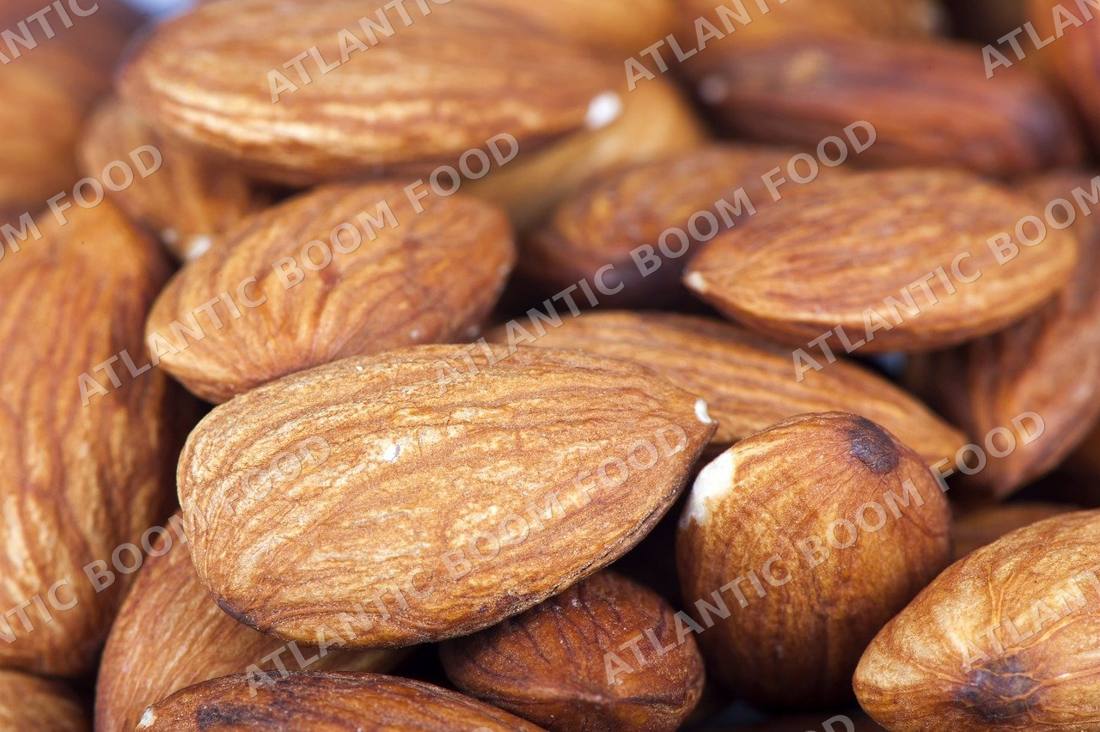 Nuts and seeds - Atlantic Boom Food export