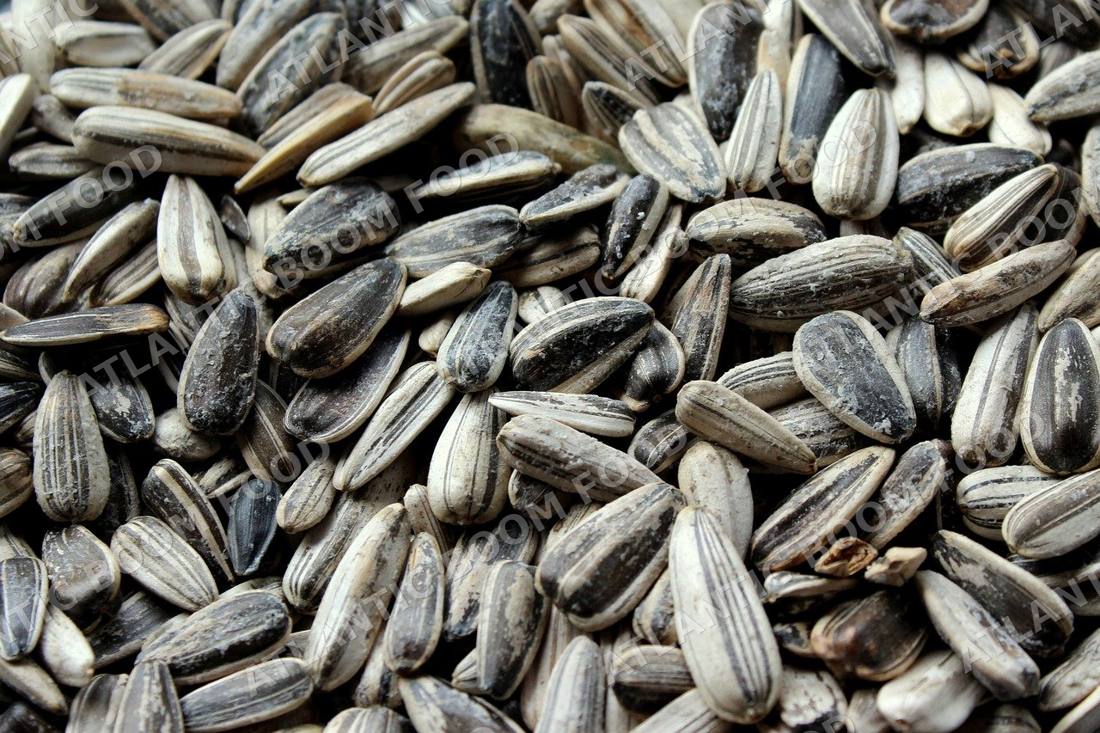 Nuts and seeds - Atlantic Boom Food export
