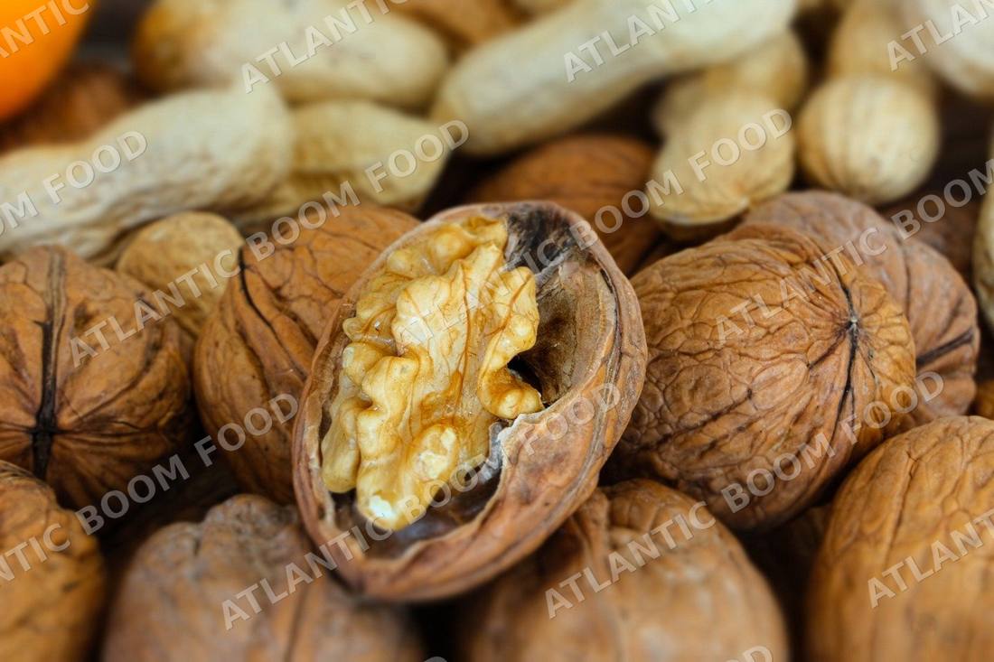Nuts and seeds - Atlantic Boom Food export