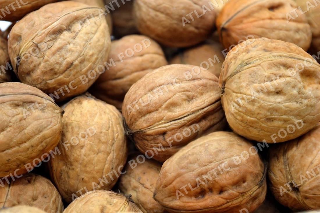 Nuts and seeds - Atlantic Boom Food export