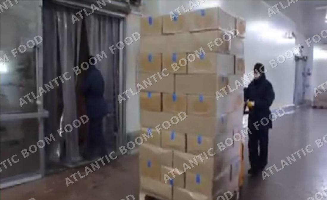 Production and logistics - Atlantic Boom Food export