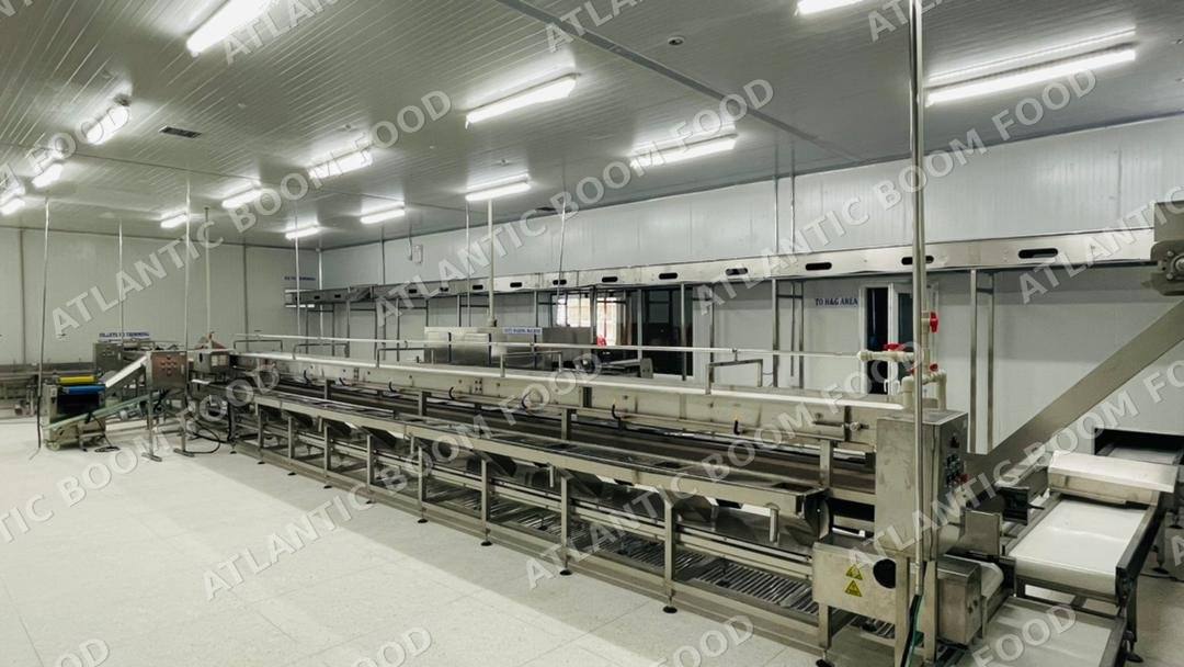 Production and logistics - Atlantic Boom Food export
