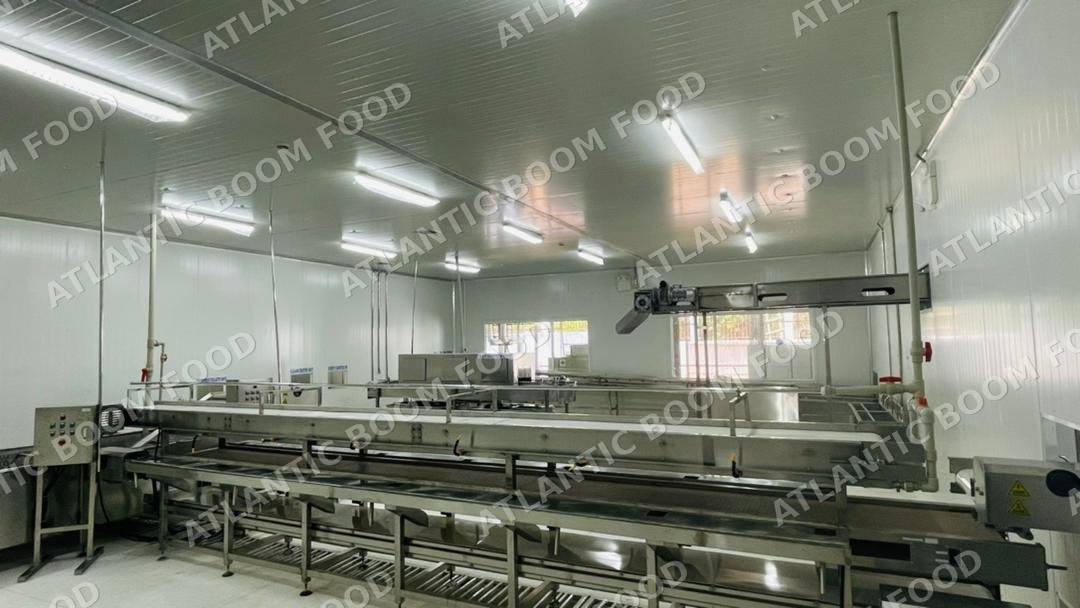 Production and logistics - Atlantic Boom Food export