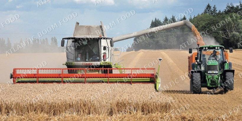 Production and logistics - Atlantic Boom Food export