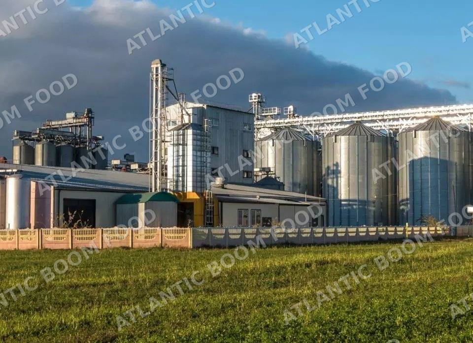 Production and logistics - Atlantic Boom Food export