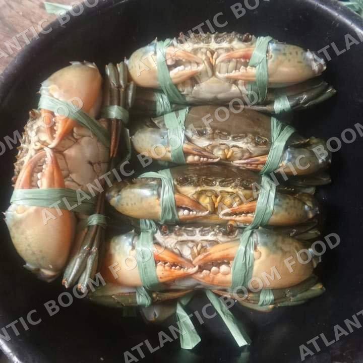 Crustaceans: shrimp, crab, lobster - Atlantic Boom Food export