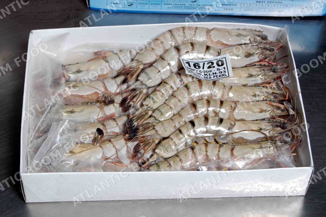 Crustaceans: shrimp, crab, lobster - Atlantic Boom Food export