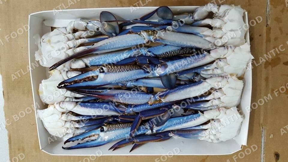 Crustaceans: shrimp, crab, lobster - Atlantic Boom Food export