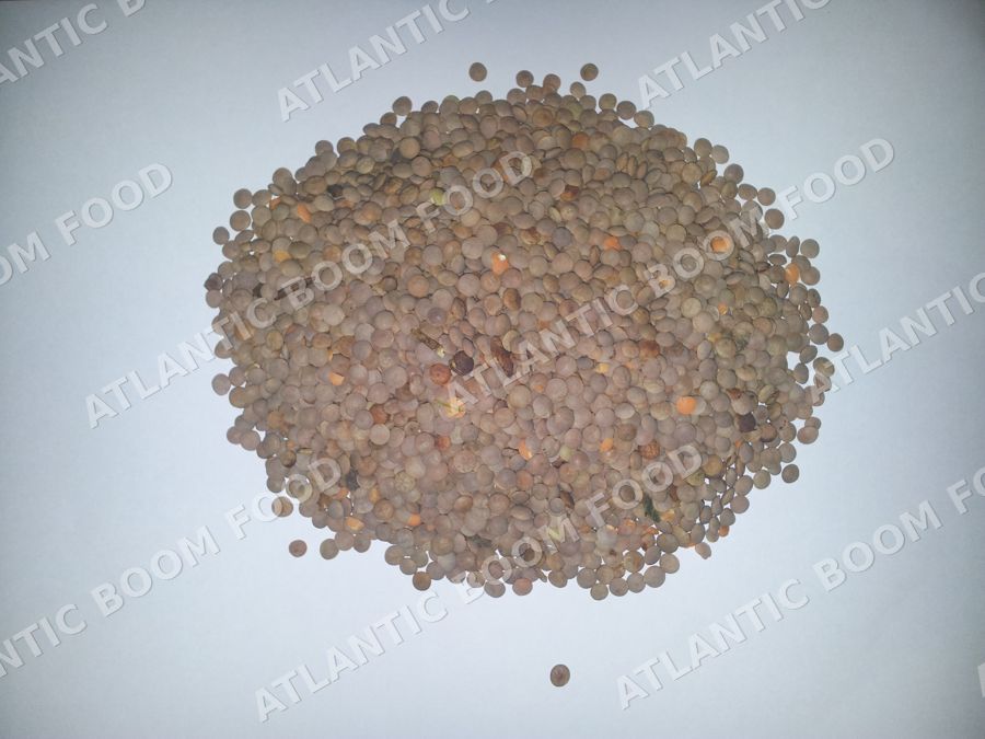 Lentils