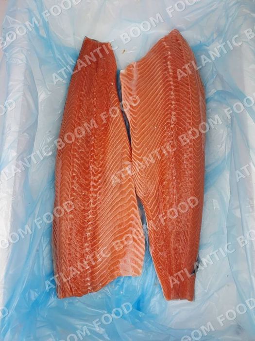 Salmon
